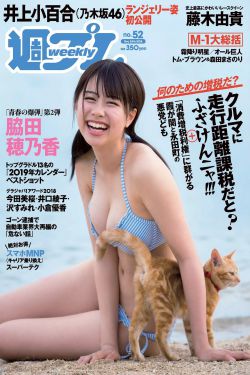 猫咪破解版